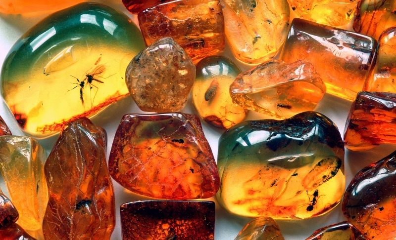 Камень янтарь — магические и лечебные свойства минерала, каких видов и цветов бывает