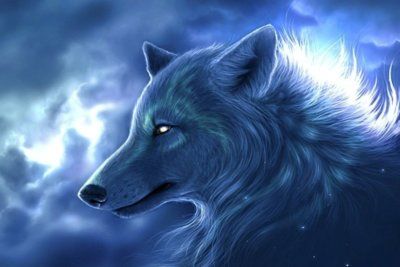 Амулет волка: значение у славян, описание разновидностей оберегов