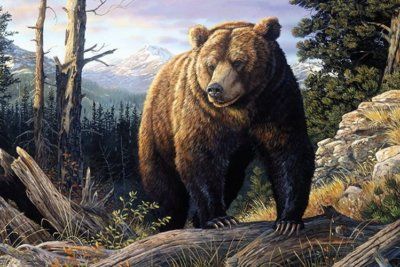 Значение амулетов Чертог медведя, Медвежий коготь, Зуб медведя