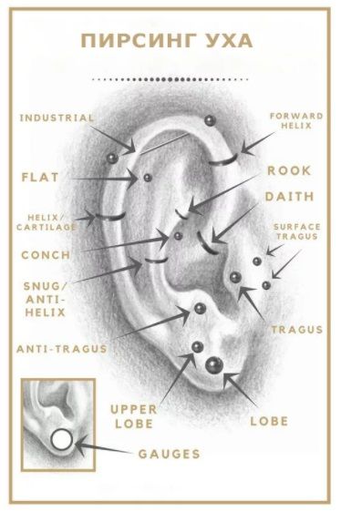 виды проколов уха
