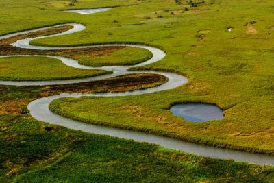 De Beers и National Geographic вступили в партнерство по защите бассейна реки Окаванго в Африке