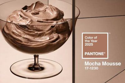 Цвет 2025 года от Pantone — восхитительный мусс: «Mocha Mousse»