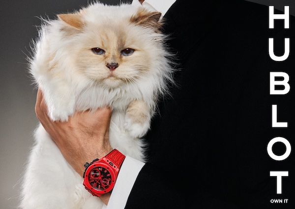Пушистая икона и дерзкий манифест: Hublot встречает Шупетт
