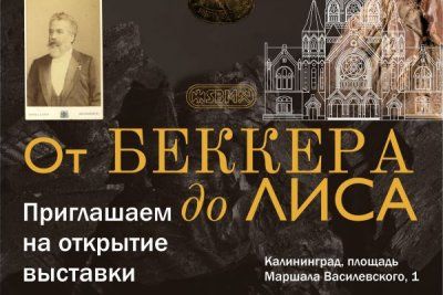 Выставка «От Беккера до Лиса»